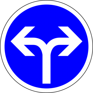 variables de una hipotesis