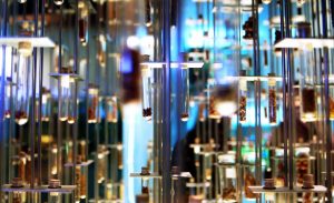 como organizar los antecedentes de una tesis