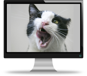 consejos para hacer videoconferencias desde casa