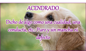 palabras bonitas cortas