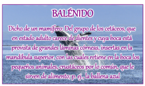 palabras que empiezan por b