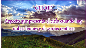 Cuantas palabras nuevas se pueden aprender en un dia 