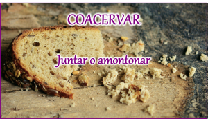 Ejemplos de palabras nuevas